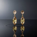 Butterfly Crystal Drop Earrings GWE -217