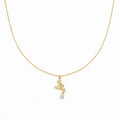 Drop Diamond Pendant Necklace GWN -147