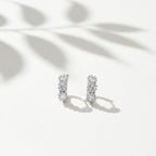 Crystal Cascade Stud Earrings GWE -88