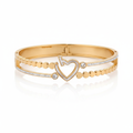 divya heart GWB -9