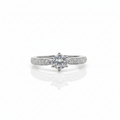 Pari Pave Ring GWR -30