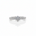 Pari Pave Ring GWR -30